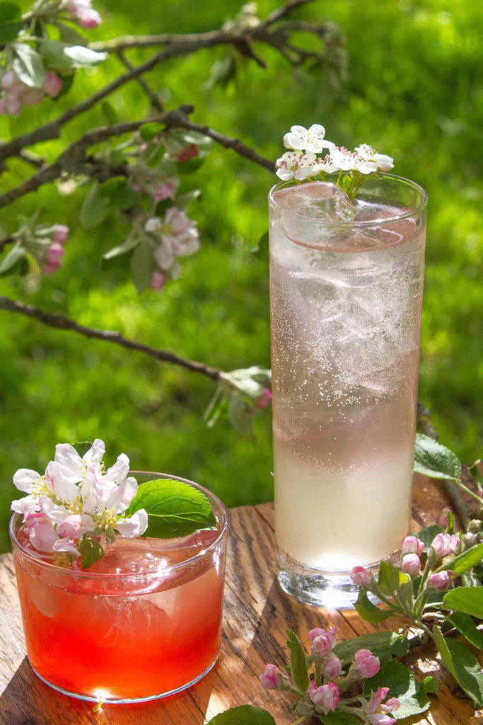 The Best Spring-Summer Seasonal Cocktail Recipes