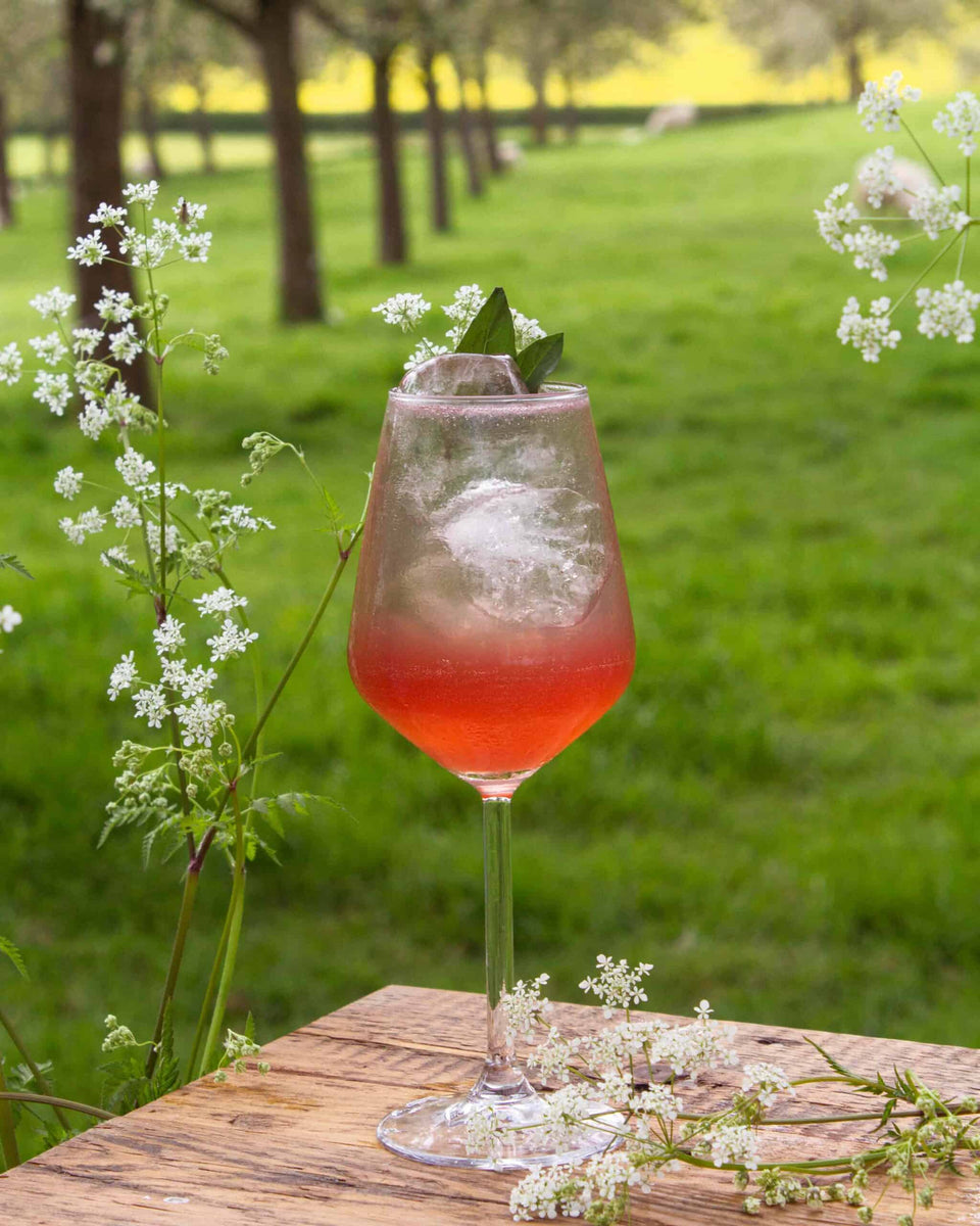 Raspberry Basil Refresher Seasonal Cocktails