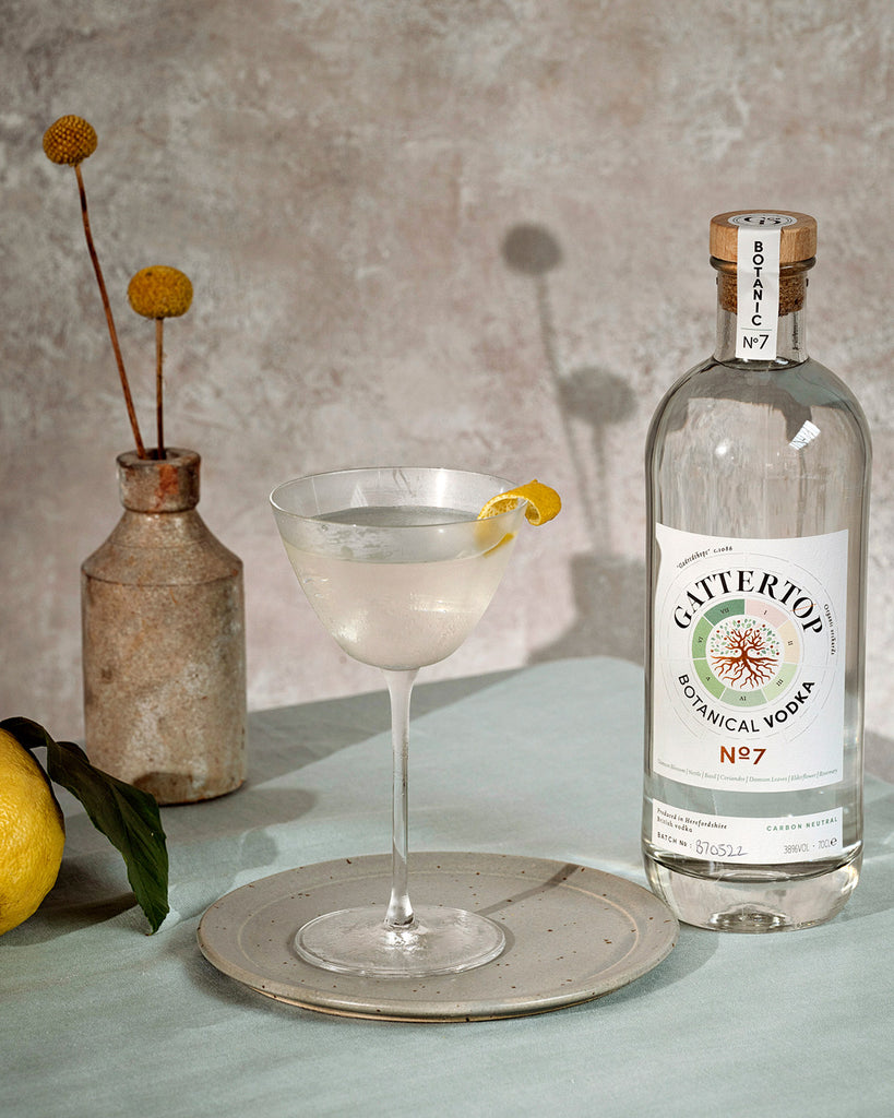 Vesper Martini, Best UK vodka, vodka cocktail recipes, classic cocktail recipes