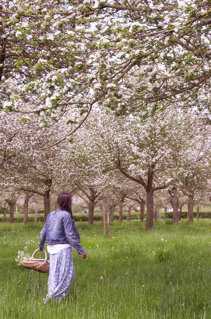 Orchard Harvest: Apple Blossom