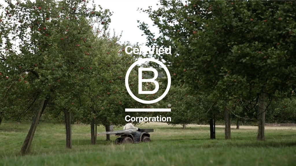 B Corp Month, Gattertop Drinks, B Certified Business