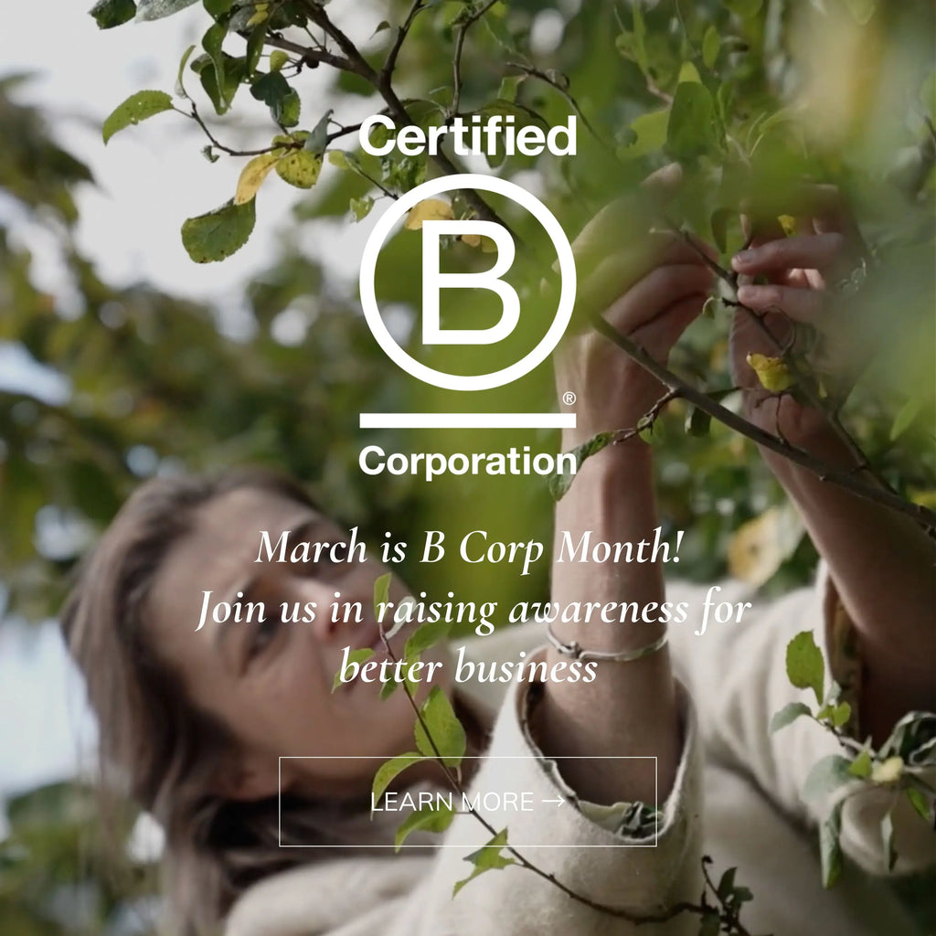 B Corp Month, awareness for better business