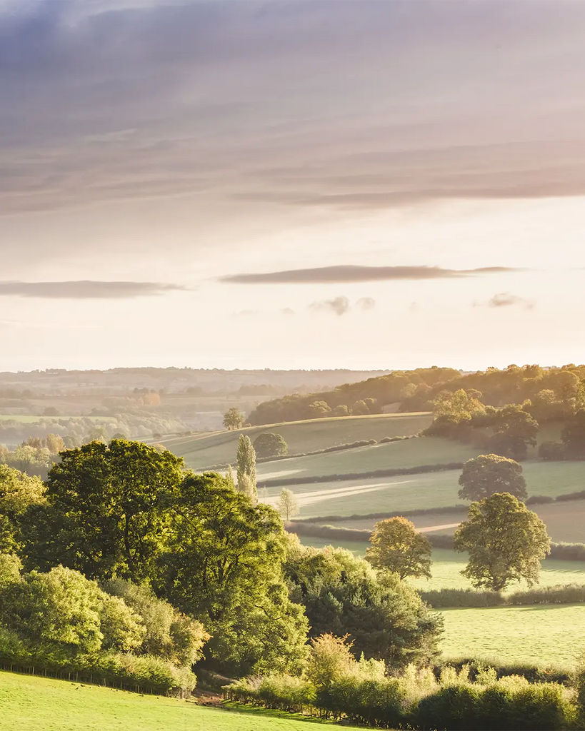 B Corp, Gattertop landscape, Herefordshire, sustainable drinks brand Uk